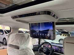 Lynk & Co Century 2.0T Seven-Seater Yunshi Edition - фото 20