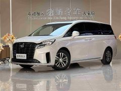 Buick GL8 ES Lu Zun Comfort Type - фото 1