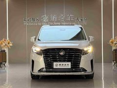Buick GL8 ES Lu Zun Comfort Type - фото 2