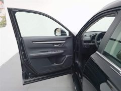 Lexus Haoying 2023 240TURBO two-wheel drive luxury version 5 seats - фото 8