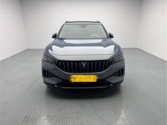 Voyah Lantu FREE 2021 four-wheel drive standard extended range exclusive luxury package - фото 2