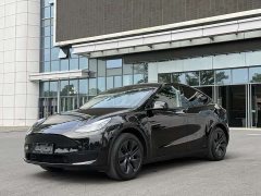 Tesla Model Y rear-wheel drive version - фото 1