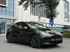 Tesla Model Y rear-wheel drive version - фото 3