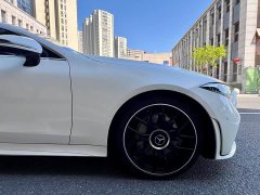 Mercedes-Benz CLS 300 Luxury - фото 10