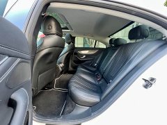 Mercedes-Benz CLS 300 Luxury - фото 14