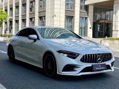 Mercedes-Benz CLS 300 Luxury - фото 3
