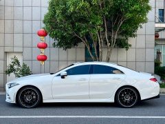 Mercedes-Benz CLS 300 Luxury - фото 5
