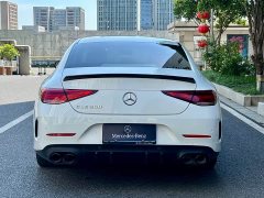 Mercedes-Benz CLS 300 Luxury - фото 7