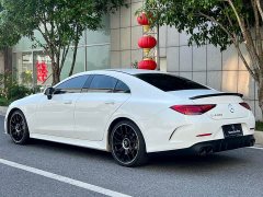 Mercedes-Benz CLS 300 Luxury - фото 8