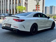Mercedes-Benz CLS 300 Luxury - фото 9