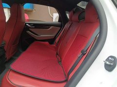BYD Qin PLUS 2024 Honor Edition DM-i 55KM Leading Type - фото 13