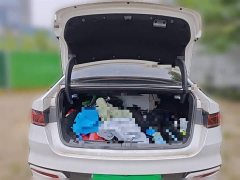 BYD Qin PLUS 2021 DM-i 120KM Premium - фото 15