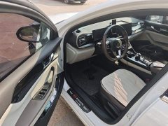 BYD Qin PLUS Champion Edition DM-i 55KM Leading Type - фото 12