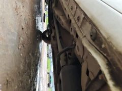 Haval First Love 1.5T Automatic Junior Edition - фото 19