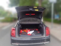 Hongqi H9 2022 2.0T Zhilian Qiyue Edition - фото 15