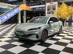 BYD Seal 06 DM-i 120KM Honor Type - фото 1