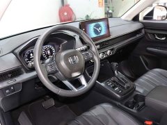 Lexus Haoying 2023 240TURBO two-wheel drive luxury version 5 seats - фото 10