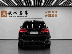 BMW X5 (Imported) xDrive40i M Sports Package - фото 4