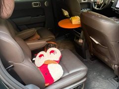 Li Auto Ideal L8 2023 Max - фото 4