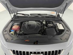 Tesla Xingrui 2.0TD Premium - фото 15