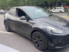 Tesla Model Y rear-wheel drive version - фото 2