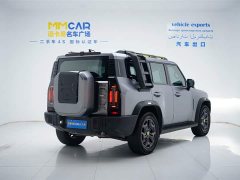 Jetour Traveler 2023 2.0T four-wheel drive crossover PRO - фото 3