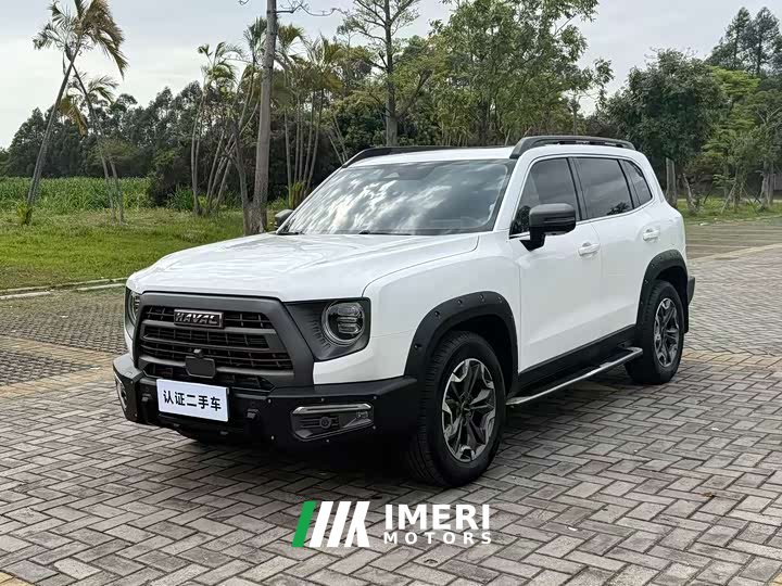 Havaldog 2.0T DCT four-wheel drive Chinese pastoral dog hunting version - автомобиль из Китая