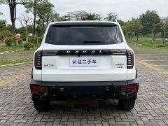 Havaldog 2.0T DCT four-wheel drive Chinese pastoral dog hunting version - фото 11