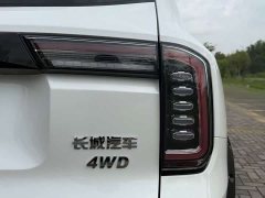 Havaldog 2.0T DCT four-wheel drive Chinese pastoral dog hunting version - фото 15