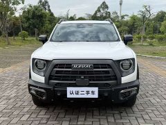 Havaldog 2.0T DCT four-wheel drive Chinese pastoral dog hunting version - фото 2