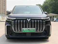 Voyah Lantu Dreamer PHEV Extra Long Range Premium Edition - фото 2