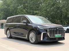 Voyah Lantu Dreamer PHEV Extra Long Range Premium Edition - фото 3