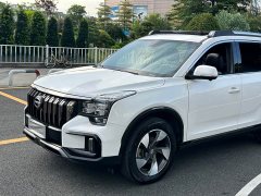 Trumpchi GS8 2020 GS8S 390T 2WD Luxury Smart Connected Edition - фото 9