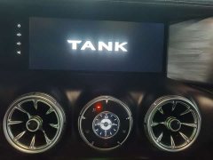 Tank 300 2021 Off-Road Version 2.0T Conqueror - фото 11