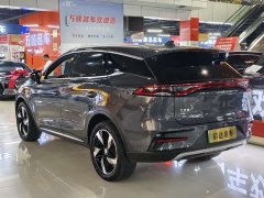 Lexus Tangxin Energy 2023 DM-i Champion Edition 112KM Honor Type - фото 19
