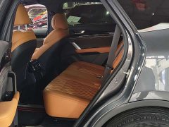 Lexus Tangxin Energy 2023 DM-i Champion Edition 112KM Honor Type - фото 20