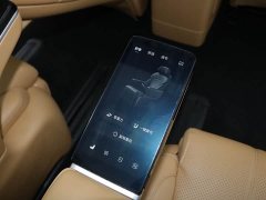 Voyah Lantu Dreamer 2025 EV four-wheel drive flagship Kunpeng Edition - фото 19