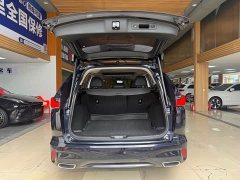 Lexus Haoying 2023 240TURBO two-wheel drive luxury version 5 seats - фото 13