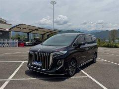 Hongqi HQ9 2.0T Zhilian Qiling Edition - фото 1