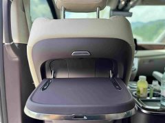 Hongqi HQ9 2.0T Zhilian Qiling Edition - фото 11