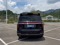 Hongqi HQ9 2.0T Zhilian Qiling Edition - фото 19