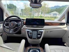 Hongqi HQ9 2.0T Zhilian Qiling Edition - фото 4
