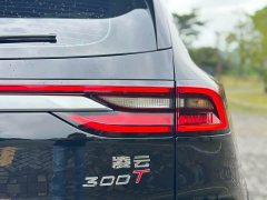 Lynk & Co Xingtu Lingyun 300T 2WD Xingyao Edition - фото 5