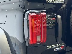 Tank 300 PHEV 2025 Hi4-T 36.7kWh - фото 18