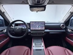 Tank 300 PHEV 2025 Hi4-T 36.7kWh - фото 19