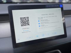 BYD Qin PLUS DM-i smart driving version 55KM leading - фото 19