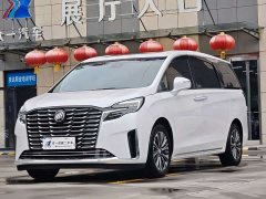 Buick GL8 ES Land Business Luxury - фото 1
