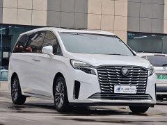 Buick GL8 ES Land Business Luxury - фото 3