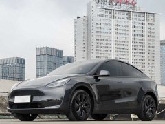 Tesla Model Y long-range all-wheel drive version - фото 1