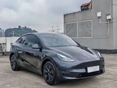 Tesla Model Y long-range all-wheel drive version - фото 3
